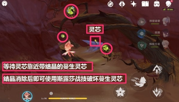 《原神》蔓生灵芯位置及解谜方法攻略