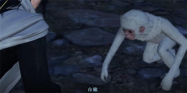 《逆水寒手游》白猿献图任务完成攻略