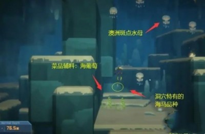 《潜水员戴夫》澳洲斑点水母在哪