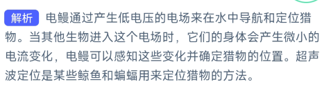 《支付宝》神奇海洋2023年9月2日答案最新