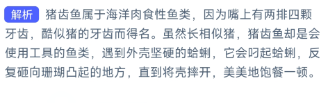 《支付宝》神奇海洋2023年10月16日答案最新